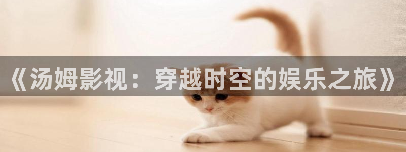 上海斑马