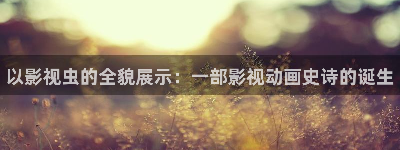 斑马上海