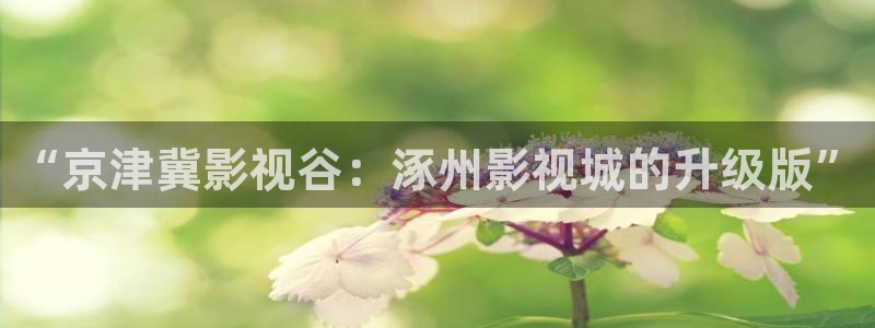 斑马歌曲
