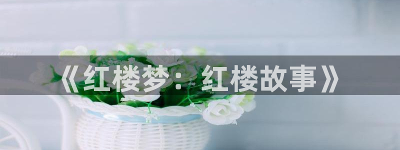 斑马传媒：《红楼梦：红楼故事》