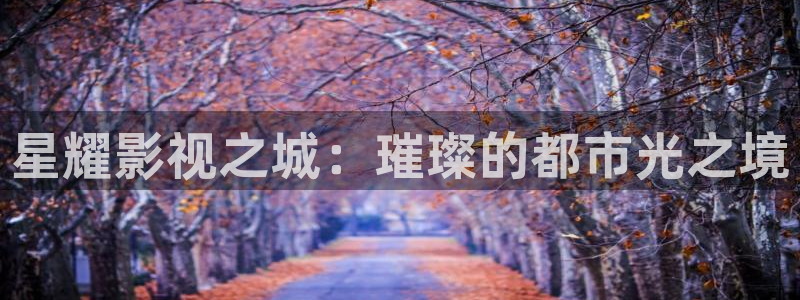斑马影院：星耀影视之城：璀璨的都市光之境