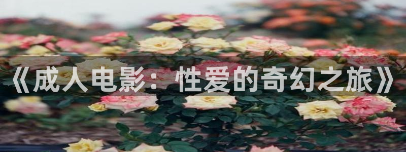 斑马日本电影：《成人电影：性爱的奇幻之旅》