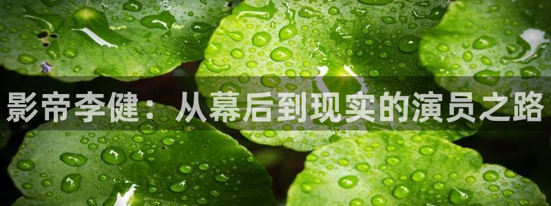 斑马ar：影帝李健：从幕后到现实的演员之路