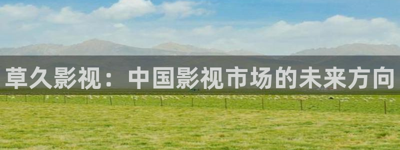 斑马斑马斑马斑马：草久影视：中国影视市场的未来方向
