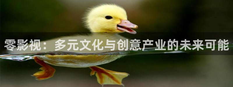 斑马限定