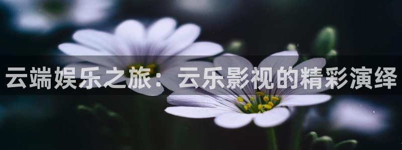 斑马电影街线观播放