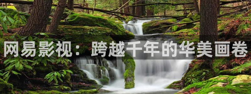 斑马视频影视大全：网易影视：跨越千年的华美画卷
