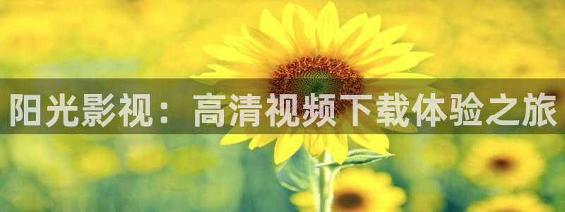 斑马街影院：阳光影视：高清视频下载体验之旅