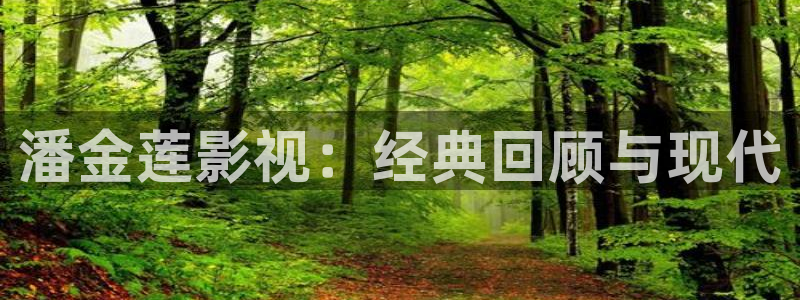 斑马电影完整版