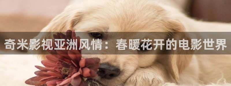 斑马直播平台：奇米影视亚洲风情：春暖花开的电影世界