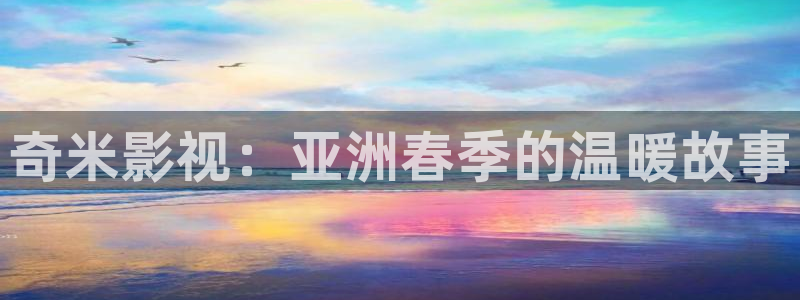 斑马j3j2